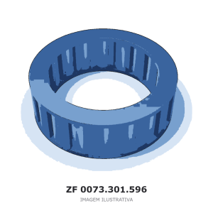 ROLAMENTO DE AGULHAS ZF – 0073.301.596 – imagem ilustrativa