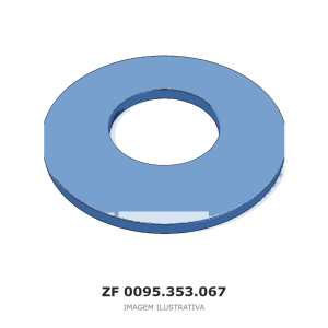 ANEL DE AJUSTE ZF APL 335 – 0095.353.067 – imagem ilustrativa