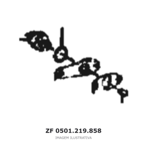 INTERRUPTOR ZF S 6-1550 / S 6-105 / S 5-680 – 0501.219.858 – imagem ilustrativa