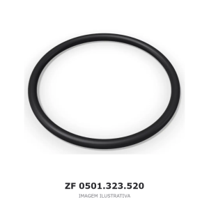 ANEL DE VEDAÇÃO ZF – 0501.323.520 – imagem ilustrativa