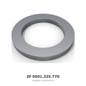 ARRUELA FINAL ZF – 0501.325.770 – imagem ilustrativa