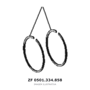 R-RING ZF 6 WG 200(555/3) / 8 EP 320 / 8 EP 320 A – 0501.334.858 – imagem ilustrativa