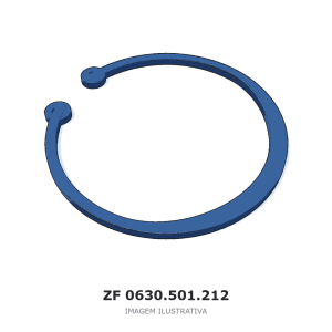 ANEL DE SEGURANÇA ZF S 6-65 / 5 WG 160 / 6 WG 160 – 0630.501.212 – imagem ilustrativa