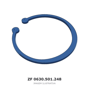 ANEL DE SEGURANÇA ZF 2 HL 100 / 2 HL 101 / AP B765+2HL100 – 0630.501.248 – imagem ilustrativa