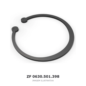 ANEL DE SEGURANÇA ZF – 0630.501.398 – imagem ilustrativa