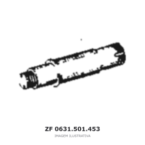 CHAVETA PARALELA ZF 4 WG 65 / 4 WG 65 II(D) / 6 WG 65 – 0631.501.453 – imagem ilustrativa