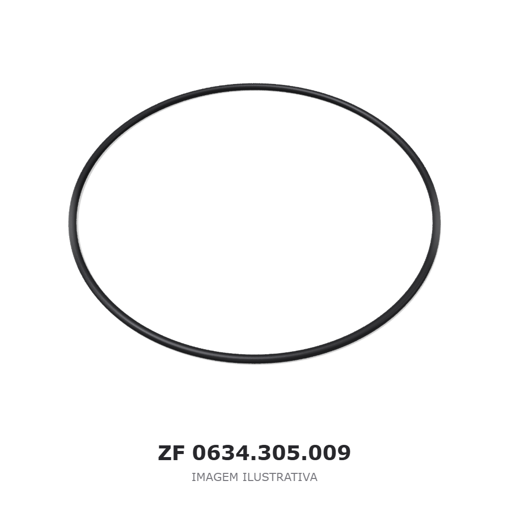 QUAD-RING – 0634.305.009 – imagem ilustrativa Imagem ilustrativa — representação genérica do componente. A peça fornecida pode apresentar diferenças de geometria e acabamento.