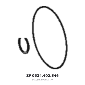 R-ANEL ZF 4 WG 250(2) / 4 WG 308 / 4 WG 258 – 0634.402.546 – imagem ilustrativa