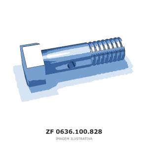 PARAFUSO COMBINADO ZF – 0636.100.828 – imagem ilustrativa