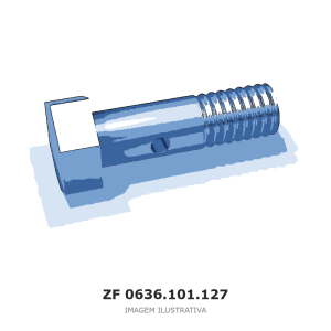 PARAFUSO DE CABEÇA CILÍNDRICA ZF 3 WG 160 / 4 WG 160 / 6 WG 160 – 0636.101.127 – imagem ilustrativa