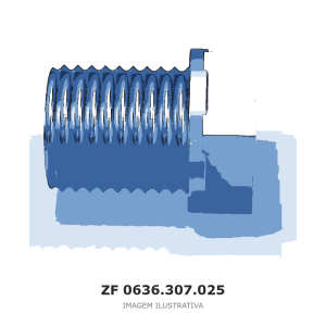BUJÃO ROSCADO ZF 4 WG 65 / 4 WG 65 II(D) / 6 WG 65 – 0636.307.025 – imagem ilustrativa