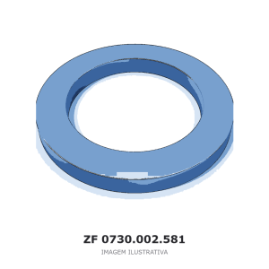 ARRUELA DE AJUSTE ZF – 0730.002.581 – imagem ilustrativa