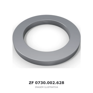 ARRUELA ZF 4 WG 65 / 4 WG 65 II(D) / 6 WG 65 – 0730.002.628 – imagem ilustrativa