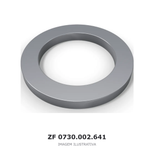 ARRUELA ZF 4 WG 65 / 4 WG 65 II(D) / 6 WG 65 – 0730.002.641 – imagem ilustrativa