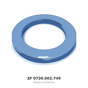 ARRUELA ZF T 7336 L / T 7336 PS / T 7338 – 0730.002.749 – imagem ilustrativa
