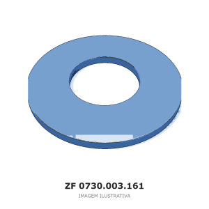 ANEL ZF 16 S 130 NMV – 0730.003.161 – imagem ilustrativa