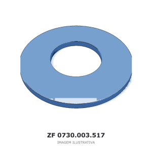 ANEL ZF 16 S 130 NMV – 0730.003.517 – imagem ilustrativa