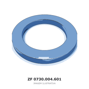 ARRUELA DE AJUSTE ZF 3 MD 40 / 3 MD 40/S 800 / 3 MD 40/S 1050 – 0730.004.601 – imagem ilustrativa