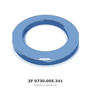 ARRUELA DE AJUSTE ZF 4 WG 65 / 4 WG 65 II(D) – 0730.005.341 – imagem ilustrativa
