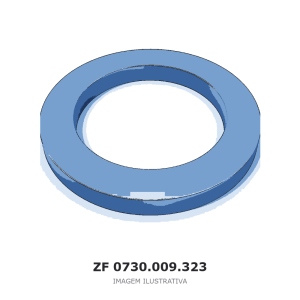 ARRUELA ZF 4 WG 250(2) / 4 WG 308 / 4 WG 258 – 0730.009.323 – imagem ilustrativa