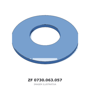 ANEL ZF 6 WG 250 / 6 WG 260 / 5 WG 260 – 0730.063.057 – imagem ilustrativa