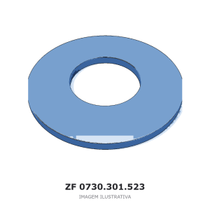 ANEL ZF AV-132/90GR.SLF / AV 132/80 / AV 132/87 – 0730.301.523 – imagem ilustrativa