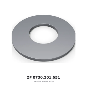 ANEL ZF MT-B 3070 / 1 AVG 185 / AP B765 – 0730.301.651 – imagem ilustrativa