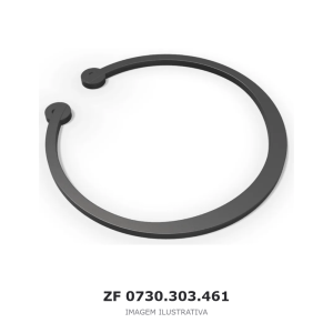 ANEL DE RETENÇÃO ZF – 0730.303.461 – imagem ilustrativa
