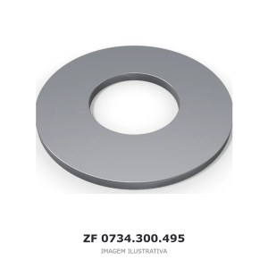 ANEL RASPADOR ZF – 0734.300.495 – imagem ilustrativa