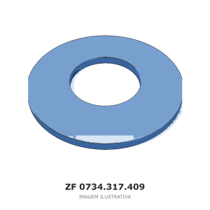 ANEL RANHURADO ZF MT-B 3065 / MT-B 3070 – 0734.317.409 – imagem ilustrativa