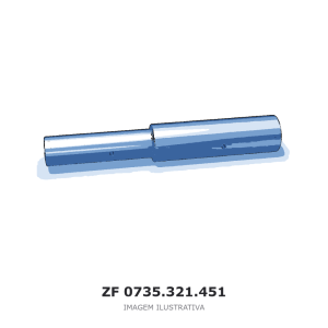 ROLETE DE AGULHAS ZF – 0735.321.451 – imagem ilustrativa