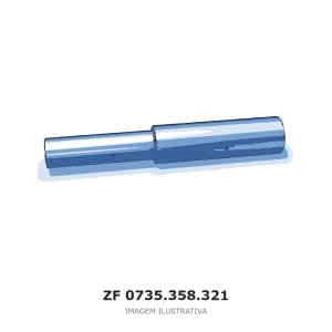 ROLETE DE AGULHAS ZF – 0735.358.321 – imagem ilustrativa