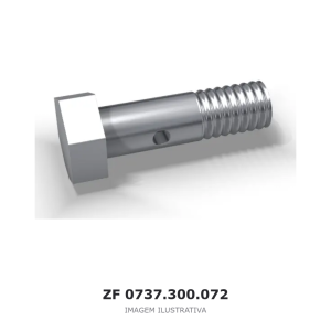 PORCA RANHURADA ZF AV-132/90GR.SLF / AV 132/80 / AV 132/87 – 0737.300.072 – imagem ilustrativa