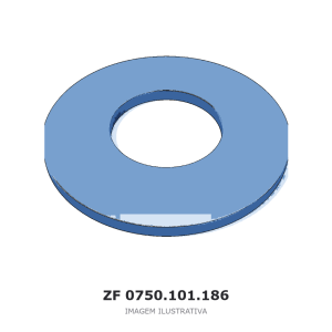 ANEL CAPA AXIAL ZF AV 132 II/83 / AV 110/90 / AV 110/80 – 0750.101.186 – imagem ilustrativa