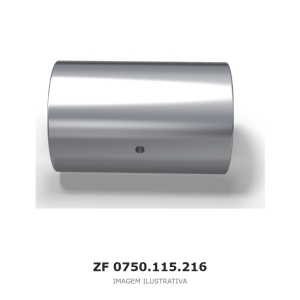 BUCHA DE AGULHAS ZF 4 WG 250(2) / 4 WG 308 / 4 WG 258 – 0750.115.216 – imagem ilustrativa