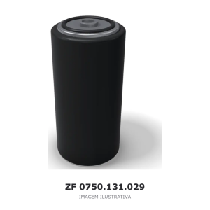 FILTRO ZF 3 WG 100(500) / 3 WG 100(400) / 4 WG 100(500) – 0750.131.029 – imagem ilustrativa