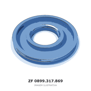 PISTÃO ZF 4 WG 250(2) / 4 WG 308 / 4 WG 258 – 0899.317.869 – imagem ilustrativa