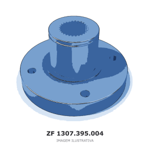 FLANGE ZF – 1307.395.004 – imagem ilustrativa