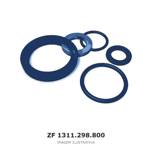 JOGO DE REPARO ZF – 1311.298.800 – imagem ilustrativa