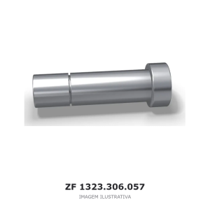 PINO DA TRAVA ZF – 1323.306.057 – imagem ilustrativa