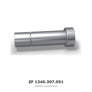PINO DA TRAVA ZF 6 S 1005 TO / 6 S 1010 BO / 6 S 700 TO – 1346.307.051 – imagem ilustrativa