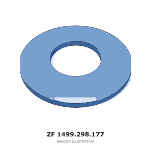 ANEL PARTIDO ZF – 1499.298.177 – imagem ilustrativa