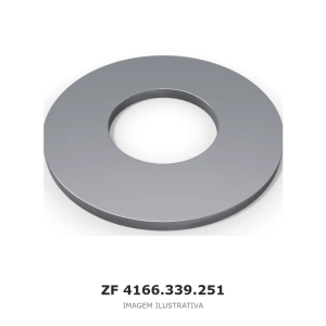 ANEL CATRACA ZF 4 WG 65 / 4 WG 65 II(D) / 6 WG 65 – 4166.339.251 – imagem ilustrativa