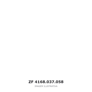 CONVERSOR DE TORQUE ZF 6 WG 260 – 4168.037.058 – imagem ilustrativa