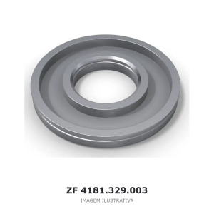 PISTÃO ZF – 4181.329.003 – imagem ilustrativa