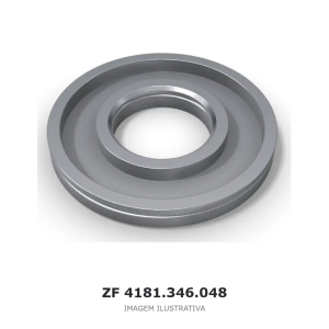 PISTÃO ZF – 4181.346.048 – imagem ilustrativa
