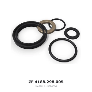 JOGO DE REPARO ZF – 4188.298.005 – imagem ilustrativa