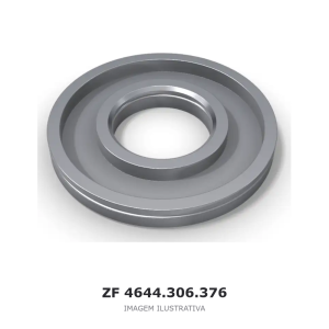 PISTÃO ZF 4 WG 150 / 6 WG 150 / 4 WG 180(555) – 4644.306.376 – imagem ilustrativa