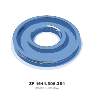 PISTÃO ZF 4 WG 65 / 4 WG 65 II(D) / 6 WG 65 – 4644.306.384 – imagem ilustrativa