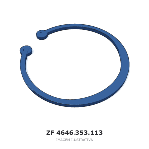 ANEL DE RETENÇÃO ZF 4 WG 250(2) / 4 WG 308 / 4 WG 258 – 4646.353.113 – imagem ilustrativa
